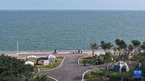 國道之行 海闊天空，多彩海岸線上的魅力生態城與海空自貿海外倉