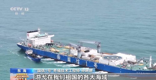 逐夢空天 深耕海洋 山東這兩艘“船”超乎你的想象——?？兆再Q海外倉的智慧融合